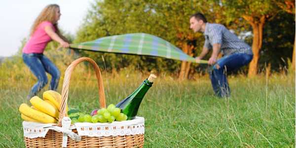 What Makes a Perfect Picnic Basket?