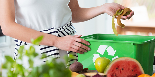 Innovations in Food Waste Reduction and Sustainability