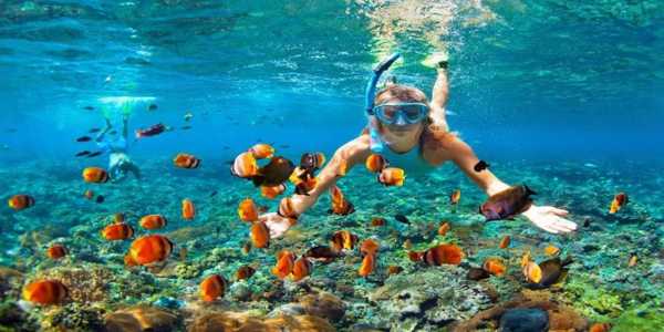 Where To Go For The Best Snorkeling Experience